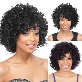Hurela Bouncy Curly Hair Virgin Human Hair Wigs 150% Density Natural Black Wig