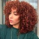 Hurela Lace Bob Wig With Ringlets Color #33B