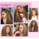 Hurela Highlight Colored Wigs 13x4 Lace Front Wigs Jerry Curly Human Wigs With Baby Hair #TL412 Color 150% Density