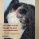 Hurela Lace Front Realistic Kinky Straight 150% Density Human Hair Wigs