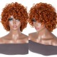 Hurela Best Straight Short Bob Wigs 13x4 Lace Front Wigs Virgin Human Hair 130% Density