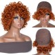 Hurela Best Straight Short Bob Wigs 13x4 Lace Front Wigs Virgin Human Hair 130% Density