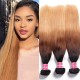 Hurela Ombre Highlights Straight Human Hair 4x4 Lace Closure Virgin Human Hair Weave #FB30